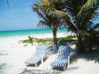 Ferienwohnung in El Cuyo (Yucatan) oder Ferienwohnung oder Ferienhaus