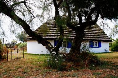 Ferienhaus in Les Saintes Maries de la Mer (Bouches-du-Rh�ne) oder Ferienwohnung oder Ferienhaus
