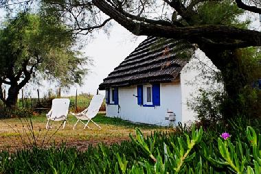 Ferienhaus in Les Saintes Maries de la Mer (Bouches-du-Rh�ne) oder Ferienwohnung oder Ferienhaus