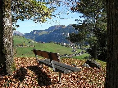 Ferienwohnung in Oberiberg (Hoch-Ybrig) oder Ferienwohnung oder Ferienhaus