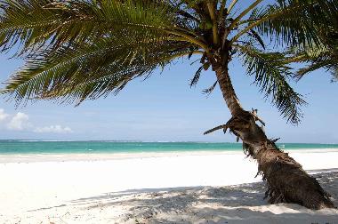 Ferienhaus in Diani beach (Coast) oder Ferienwohnung oder Ferienhaus