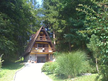 Chalet in Andraz (Mozirje) oder Ferienwohnung oder Ferienhaus