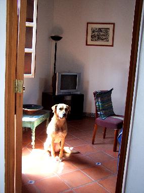 Ferienwohnung in Antigua (Sacatepequez) oder Ferienwohnung oder Ferienhaus