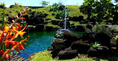 Pension in Hilo (Hawaii) oder Ferienwohnung oder Ferienhaus