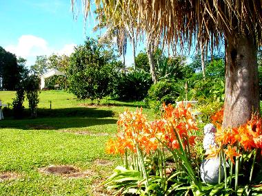 Pension in Hilo (Hawaii) oder Ferienwohnung oder Ferienhaus