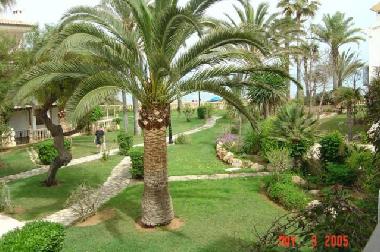 Ferienwohnung in Denia (Alicante) (Alicante / Alacant) oder Ferienwohnung oder Ferienhaus