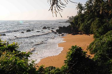 Pension in Kannur (Kerala) oder Ferienwohnung oder Ferienhaus