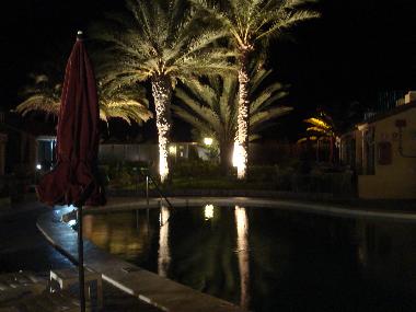 der kleine Pool unter gro�en Palmen