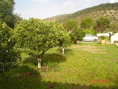 Ferienhaus in ermioni (Argolida) oder Ferienwohnung oder Ferienhaus
