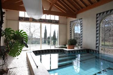 Hallenbad mit Gegenstromanlage und Wintergarten