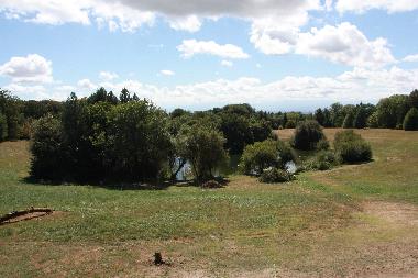 Eigener See im Sommer