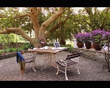 Pension in Wilderness (Western Cape) oder Ferienwohnung oder Ferienhaus