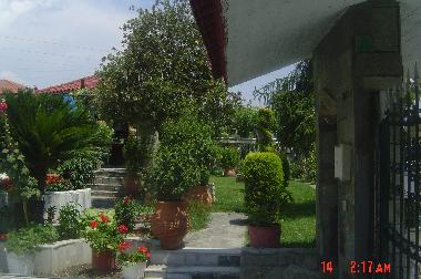 Villa in Pyrgos Ilias Greece (Ileia) oder Ferienwohnung oder Ferienhaus