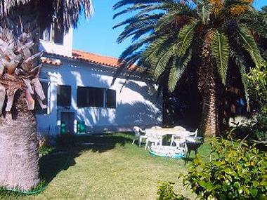 Ferienhaus in Aljezur / Vale da Telha (Algarve) oder Ferienwohnung oder Ferienhaus