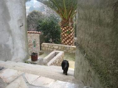 Ferienhaus in Mali Losinj (Primorsko-Goranska) oder Ferienwohnung oder Ferienhaus