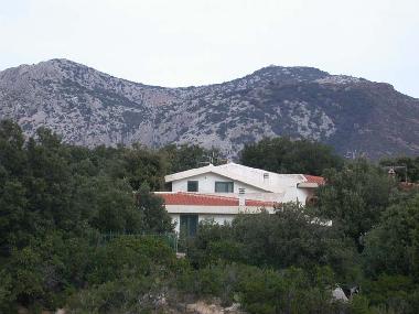 Ferienwohnung in dorgali/Cala gonone (Nuoro) oder Ferienwohnung oder Ferienhaus