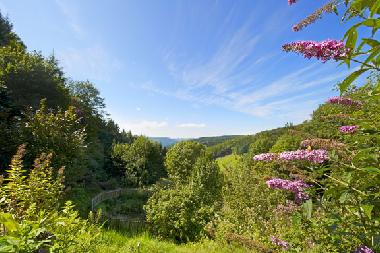 Ferienhaus in M�hlenbach (Schwarzwald) oder Ferienwohnung oder Ferienhaus