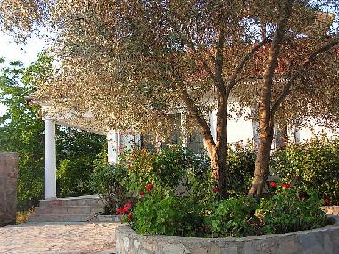 Das Cottage hinter dem Olivenbaum