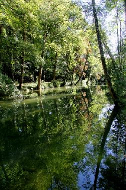 Villa in Moloy (C�te-d'Or) oder Ferienwohnung oder Ferienhaus