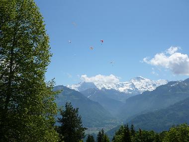Chalet in Beatenberg (Beatenberg) oder Ferienwohnung oder Ferienhaus