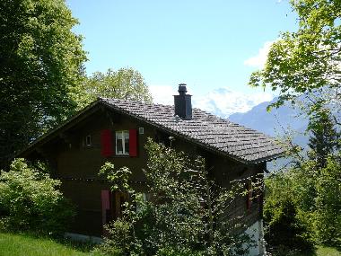Chalet in Beatenberg (Beatenberg) oder Ferienwohnung oder Ferienhaus