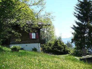Chalet in Beatenberg (Beatenberg) oder Ferienwohnung oder Ferienhaus