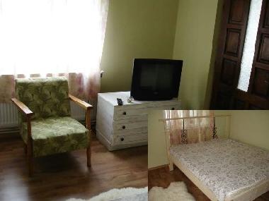 Ferienhaus in Curtea de Arges (Arges) oder Ferienwohnung oder Ferienhaus