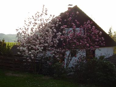 Ferienwohnung in Vala�sk� Meziř�č� (Zlinsky Kraj) oder Ferienwohnung oder Ferienhaus