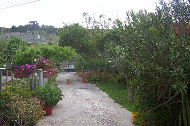 Ferienhaus in Salgado, Nazare (Oeste) oder Ferienwohnung oder Ferienhaus