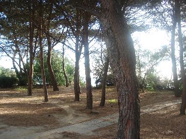 Ferienwohnung in Praialonga (Crotone) oder Ferienwohnung oder Ferienhaus
