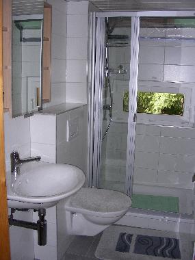 Ferienwohnung in Blatten bei Naters (Aletsch) oder Ferienwohnung oder Ferienhaus