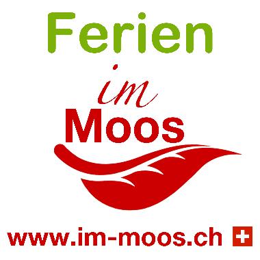 Ferienwohnung in M�nster VS (Goms) oder Ferienwohnung oder Ferienhaus