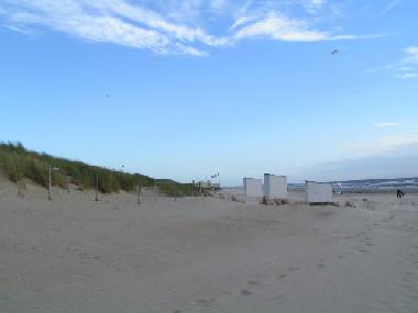 Einen sch�nsten Strand, direkt am 'Royal Sailing Club' und dem 'Surfers' Paradise'...