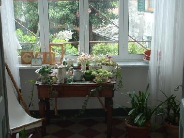 Villa in Levanto (La Spezia) oder Ferienwohnung oder Ferienhaus