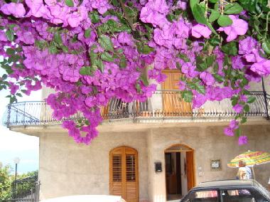 Casa Segreto......