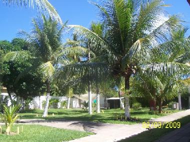 Pension in pa� amarelo (Pernambuco) oder Ferienwohnung oder Ferienhaus