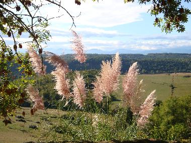Ferienhaus in Gensac de Boulogne (Haute-Garonne) oder Ferienwohnung oder Ferienhaus