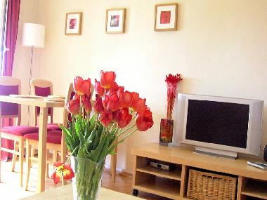 Ferienwohnung in Krakow (Malopolskie) oder Ferienwohnung oder Ferienhaus