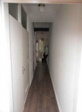 Ferienwohnung in Bergen NH (Noord-Holland) oder Ferienwohnung oder Ferienhaus