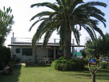 Villa in Casas de Alcanar (Tarragona) oder Ferienwohnung oder Ferienhaus