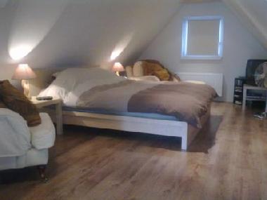 Villa in Jachymov (Karlovarsky Kraj) oder Ferienwohnung oder Ferienhaus