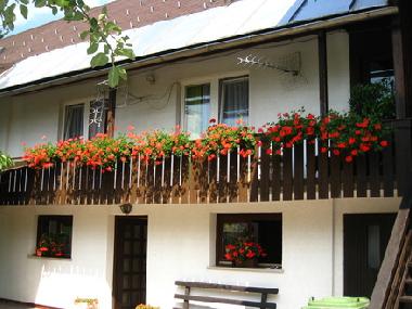 Ferienwohnung in Bohinjska Bistrica (Bohinj) oder Ferienwohnung oder Ferienhaus