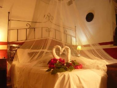Ferienwohnung in El Cuyo (Yucatan) oder Ferienwohnung oder Ferienhaus
