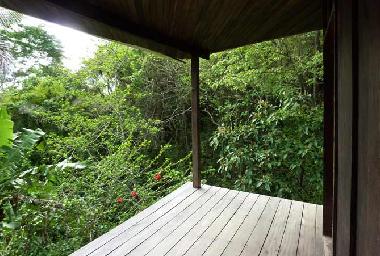 Dschungelblick von der Veranda