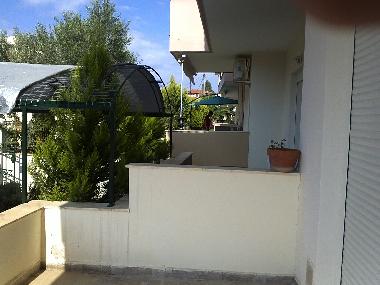 Ferienhaus in NIKITI (Chalkidiki) oder Ferienwohnung oder Ferienhaus