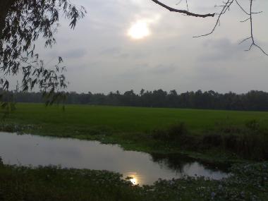 Ferienhaus in Alleppey (Kerala) oder Ferienwohnung oder Ferienhaus