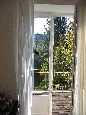 Ferienwohnung in vienna (Wien) oder Ferienwohnung oder Ferienhaus