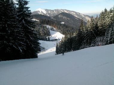 Chalet in Liptosvky Mikulas (Zilinsky) oder Ferienwohnung oder Ferienhaus