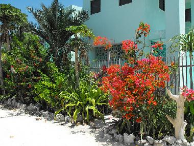 Ferienwohnung in Xcalak (Quintana Roo) oder Ferienwohnung oder Ferienhaus