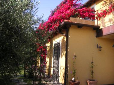 Ferienhaus in diano castello (Imperia) oder Ferienwohnung oder Ferienhaus